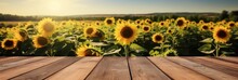 The Empty Wooden Table Top With Sunflower Field Background, Product Display Template.