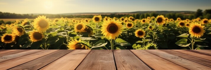 Aufkleber - The empty wooden table top with sunflower field background, Product display template.