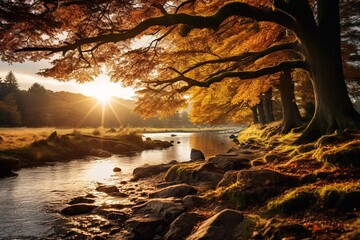 Poster - Autumn river landscape.