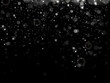 © kulinskaia - Particles of white magic dust. Shining light particles.Christmas glitter particles. Light effect on a transparent background.