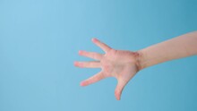 Vertical Video Of Unrecognizable Woman Counting From 1 To 5 With Fingers, Isolated On Blue Background With Copy Space For Advertisement. With Place For Text Or Image. Hand Gesture. Numbers Calculating