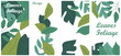 green leaves illustration,for social media, and poster
