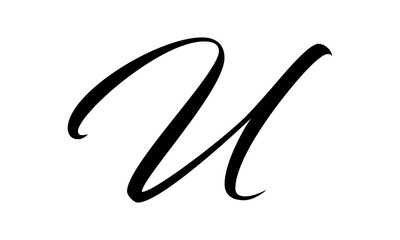 Poster - Letter U logo vector