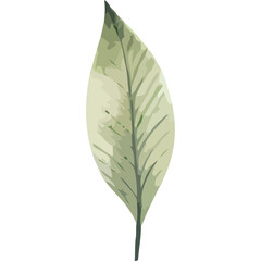  green leave garden nature icon