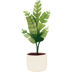 Wall Mural - houseplant in white pot watercolor icon