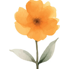 Wall Mural - orange flower garden watercolor style