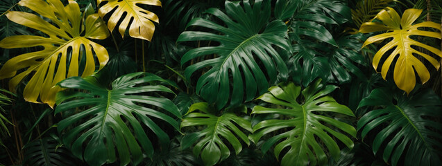 leaf texture, foliage nature on a green background, green, grass, vegetation