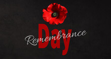 Poppy bud is a symbol Poppy Day and Remembrance Day . Great Britain. 3d illustration