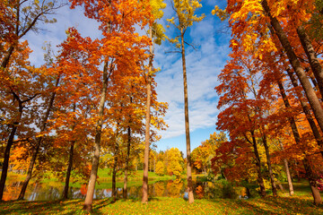 Wall Mural - Alexander park in autumn, Pushkin, St. Petersburg, Russia