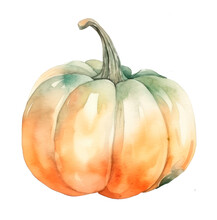 Watercolor Pumpkin, Big Orange Squash Painted In Artictic Style, Isolated. Autumn Harvest.