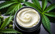 Close up of legal CBD cannabidiol topical cream for wellness, skincare, pain releif and anti-inflamatory applications next to marijuana leaves.