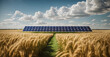 solar panels on a wheat field