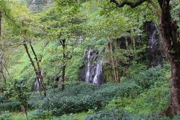 Poster - anse des cascades