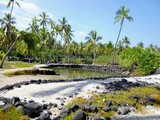 Fototapeta Do pokoju - Hawaiian Park with palm trees, sand, and water 