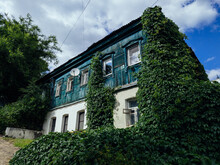Old House Overgrown By Tendril Grape