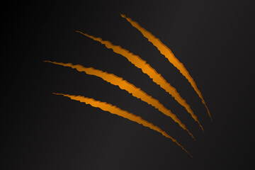 Orange cat scratch on black background.