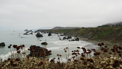 Wall Mural - View of rocky california coastline in summer on a foggy day 