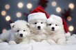 White Samoyed dog puppies in red Santa hats lie on a blanket under the Christmas tree against the background of Christmas lights