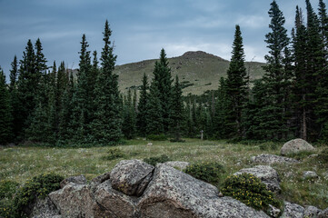 Canvas Print - Stormy Peaks Trail Cuts Through Meadow In Remote Rocky Mountain Wilderness