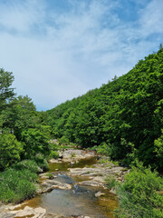 Canvas Print - It is a mountain in Korea with a flowing valley.