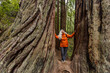 © Tetra Images - USA, California, Stinson Beach, Senior woman touching large redwood trees on hike