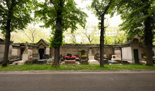 France, Paris, Trees Along Tombstones In cemetery