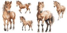 Watercolor Baby Horse Clipart For Graphic Resources