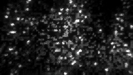 Poster - Black and white flashing dots. Motion. Monochrome dots blink in disco style on black background. Blurred dots blink on electronic background