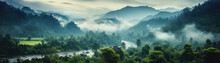 Jungle, Tropical Forest, Morning Fog, Top View.