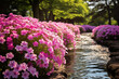 phlox flower blossom in spring season, Decoration flower plant at home and garden