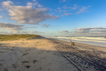 Wall Mural - Sandy beach at Chincoteague National Wildlife Refuge in Virginia.