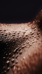 Poster - Skin, water drops and wet body of a person for dermatology, skincare and hygiene. Zoom on aesthetic model for art deco, human and sweat with droplets, creative and wellness on a black background