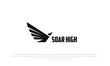 flying birds soar high with spread wings, logo pictogram style