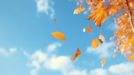 autumn leaf fall, falling leaves on the background of a light blue autumn sky, yellow and red leaves flying from the sky, view up