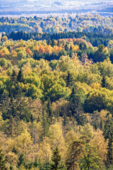 Sticker - Aerial view at a woodland in beautiful autumn foliage