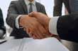 © ASDF - Businesspeople shaking hands in a meeting