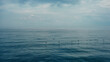 © Andre Silva - fog and birds flying over the sea