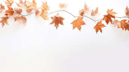 Wall Mural - maple leaves on a white background isolated frame of fallen leaves autumn blank