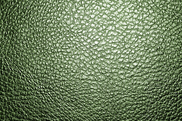 Sticker - Green leather texture. Animal skin background. Raw textile pattern. Luxury fabric pattern. Eco artificial leather made with no harm to animal. Green light black leather.