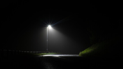 Wall Mural - A single street light on a lonely spooky country road at night