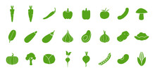 Green Vegetables Icon Set Of Parsey Root, Carrot, Chilli, Paprika, Pepper, Tomato, Cucumber, Mushroom, Spinach, Zucchini, Eggplant, Garlic, Onion, Potato, Tomato, Avocado, Cauliflower, Pumpkin, Brocco