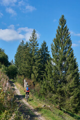 Wall Mural - nice senior woman on her electric mountain bike cycling in the German Black Forest near Titisee-Neustadt, Baden-Württemberg, Germany