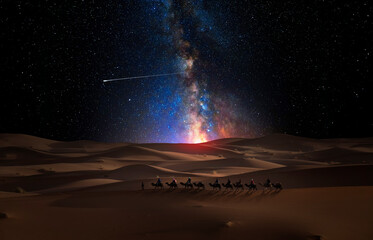 Wall Mural - camel caravan through the desert