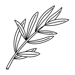 Canvas Print - Hand drawn doodle illustrations of olive branches isolated on a white background.