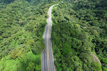 Sticker - Empty highway on green jungle background