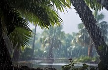 Rain In The Tropics During The Low Season Or Monsoon Season. Raindrops In A Garden.