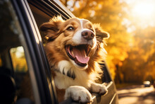 Generative AI Photo Of A Happy Dog Peeks Out Of A Car Window While Driving Through A Autumn Orange Trees Along The Road