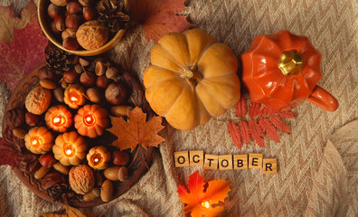 Wall Mural - autumn background. decorative candles, acorns, nuts, pumpkin on plaid close up. October month calendar concept. symbol of harvest, Mabon, thanksgiving, Halloween. cozy seasonal composition. top view