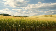 Field Iowa Cornfields Agricultural Illustration Corn Rural, Landscape Agriculture, Sky Green Field Iowa Cornfields Agricultural
