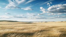 Herb Russian Steppe Winds Illustration Grain Wilderness, Savanna Prairie, Veld Charm Herb Russian Steppe Winds